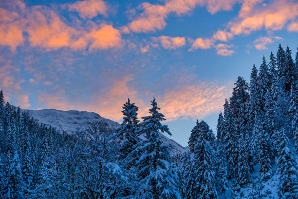 istock Winter Landscape in Upper Bavaria, Germany 1325033554
