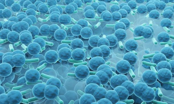 biofilmoberfläche, antibiotikaresistente bakterienkultur 3d-illustration - coccus stock-fotos und bilder