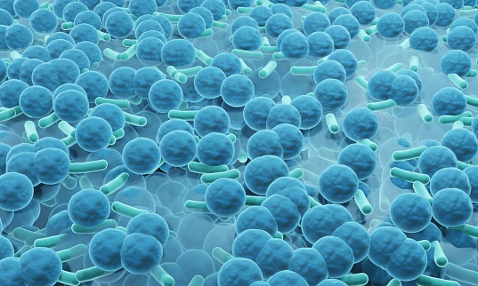 Antibiotic resistant bacteria such as MRSA on surface of a Biofilm