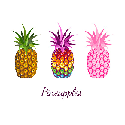 Image with three multicolored and rainbow pineapples fruit on white background. For modern print t-shirt, pride LGBT symbol, kid's design graphic element, branding, logo. Vector illustration