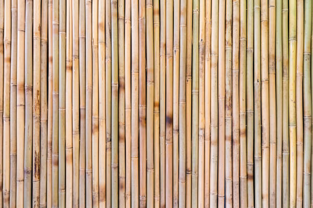 istock fence made of bamboo sticks 1325037503