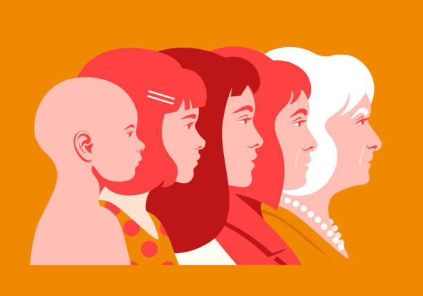 bildbanksillustrationer, clip art samt tecknat material och ikoner med the head of a woman of different ages in profile. childhood, youth and old age. - age