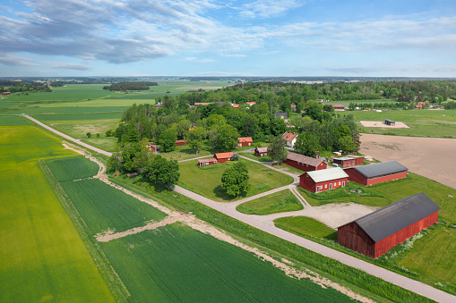 red barn with blue flowers in front of it, small blue spring flowers