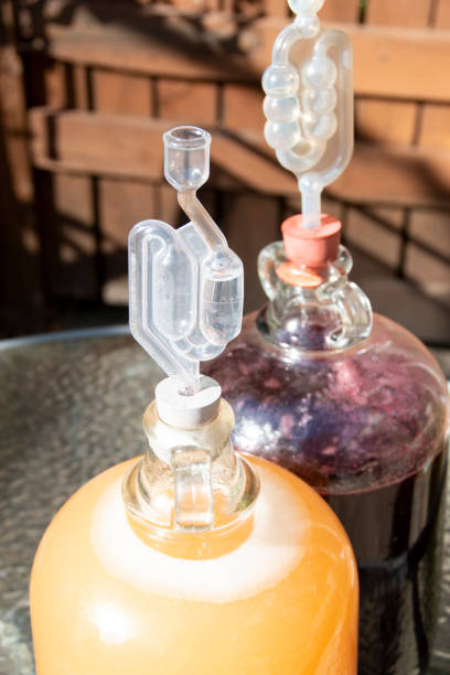 vinificación : en el demijohn - airlock fotografías e imágenes de stock