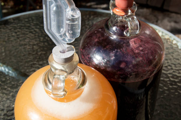 vinificación : en el demijohn - airlock fotografías e imágenes de stock