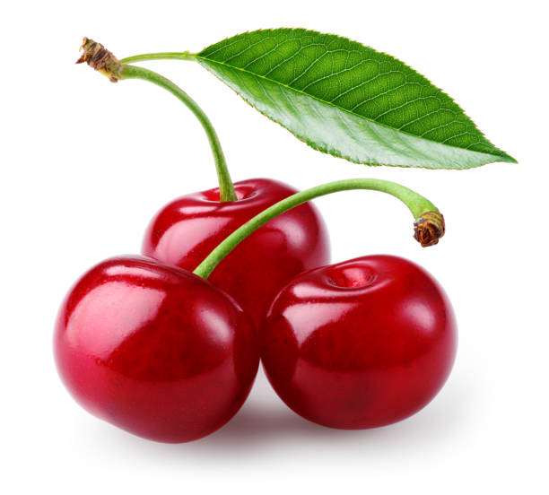 istock Cherry isolated. Cherries with leaf on white background. Sour cherri on white. Cherry leaf. Full depth of field. 1325054951