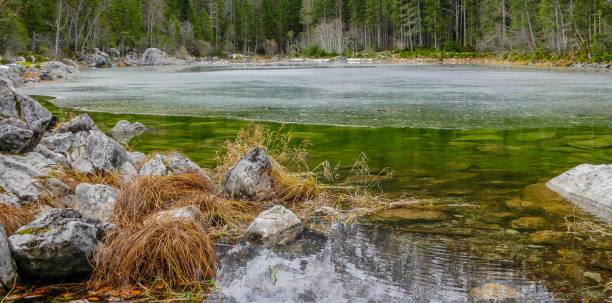 istock Rocks on Lake Frillensee Germany 1325055732