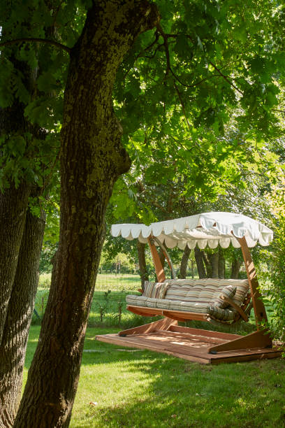 istock modern home garden with interior style in design 1325056393