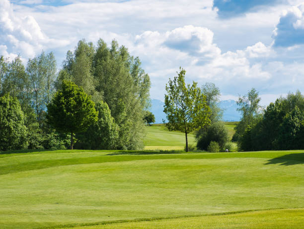 istock Landscape with fairway of golf course and trees on sunny day with clouds 1325056576