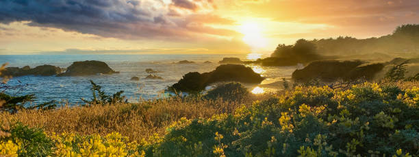 panorama des küsten-, nordkalifornischen ozeansonnenuntergangs - northern california fotos stock-fotos und bilder