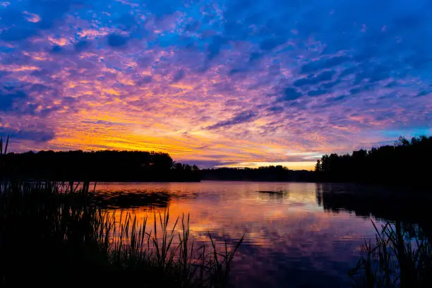 early morning or late evening dramatic sky over forest lake or river, summer landscape