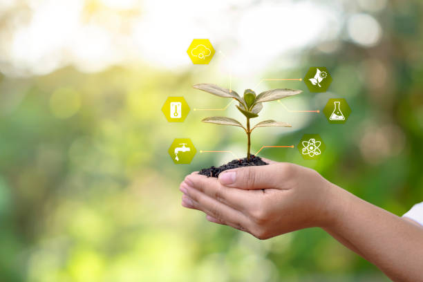 istock plant and tree growth essential factors icon on farmer hands 1325060273