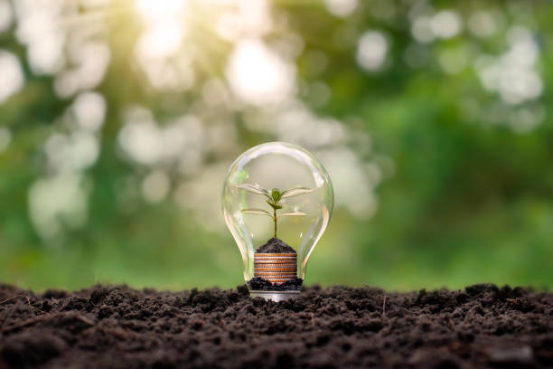 istock A growing tree on a coin inside an energy-saving light bulb, an energy-saving concept and an eco-friendly world. 1325062125
