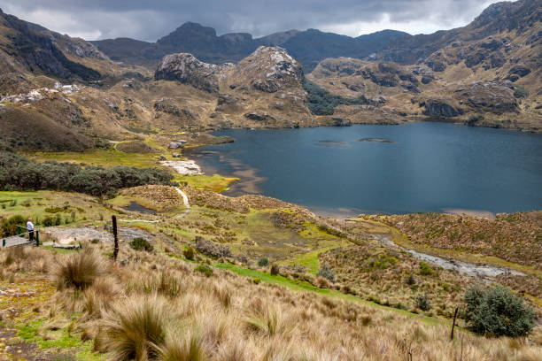istock The Cajas National Park - Ecuador 1325063220