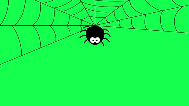 spider hanging on web halloween animated video animation