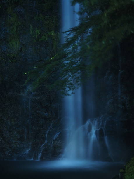 Photo of Minoh Falls