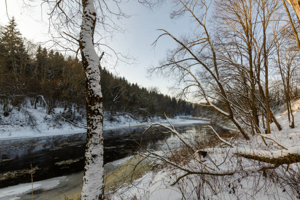 istock river in winter snowy forest. sunny day. beautiful nature 1325066767