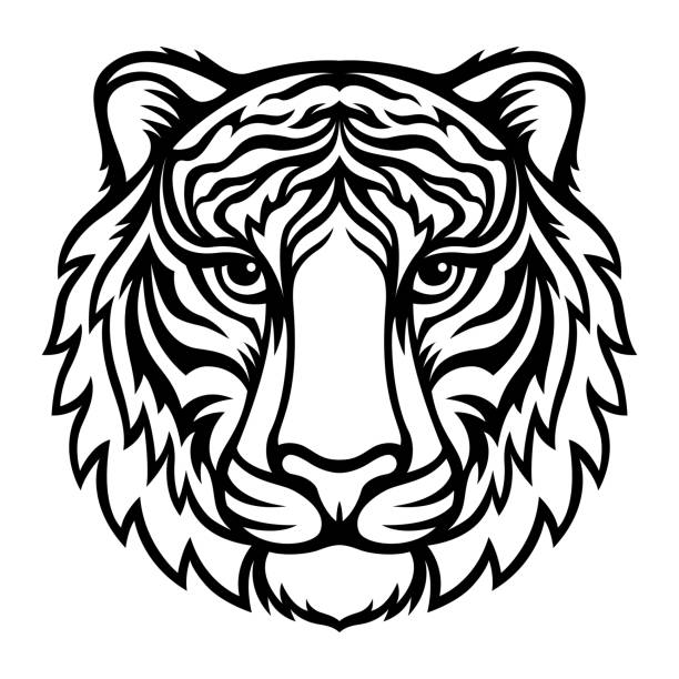 Drawing Of Japanese Tiger Tattoo Designs Illustrations, Royalty-Free Vector  Graphics & Clip Art - iStock