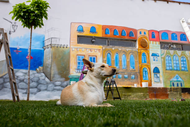 istock Loyal mixed-breed dog, lying in front of the mural paint 1325073192