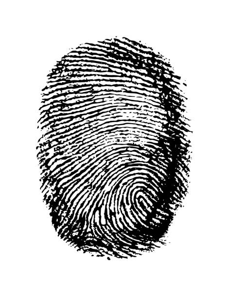 istock Real fingerprint in white background Super macro 1325073667