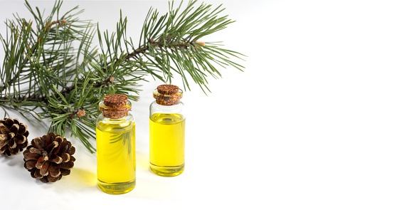 Advertising banner with essential pine oil in small glass bottles with branch and cones on white. Natural aromatherapy, herbal medicine or coniferous spa products concept. Copy space for text.