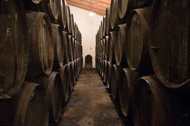 istock Wine casks at the winery. Stacked Wine barrels at the spanish winery. 1325075779