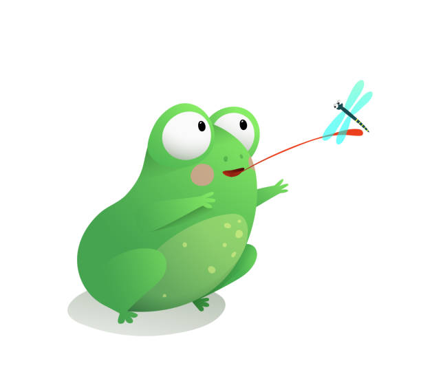 illustrations, cliparts, dessins animés et icônes de mignon petite grenouille attraper libellule avec la langue - frog catching fly water