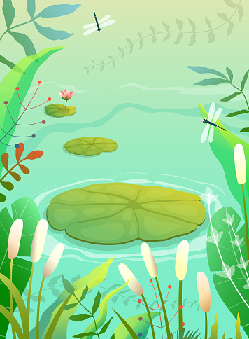 Pond, swamp or lake scenery empty background with waterlily and lily plants grass and reeds. Colorful swamp illustration in green tones, empty vertical nature vector background in watercolor style.