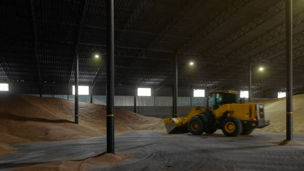istock Wheel loader in motion. A wheel loader collects wheat in heaps inside a granary. 1325090811