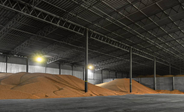 Large warehouse for grain storage Large warehouse for grain storage granary stock pictures, royalty-free photos & images