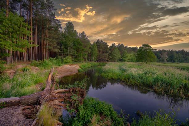 The small Grabia River in central Poland.