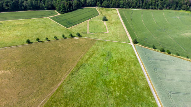 istock Agricultural area and fields - aerial view 1325093574