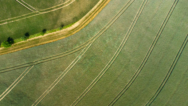 istock Agricultural area and fields - aerial view 1325093590
