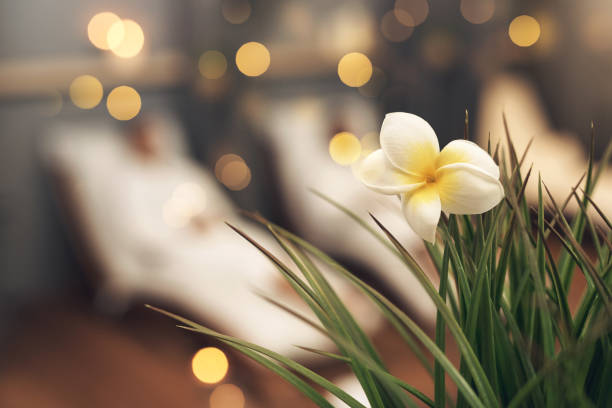Defocused shot of a plant in a spa