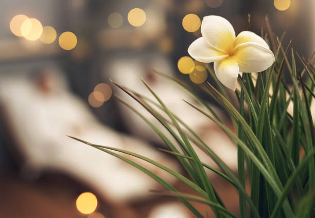 istock Defocused shot of a plant in a spa 1325095236