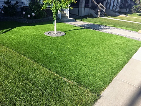 Un hermoso césped artificial verde en el patio delantero con un bonito árbol en el centro, y otros céspedes de hierba a su lado para el contraste photo