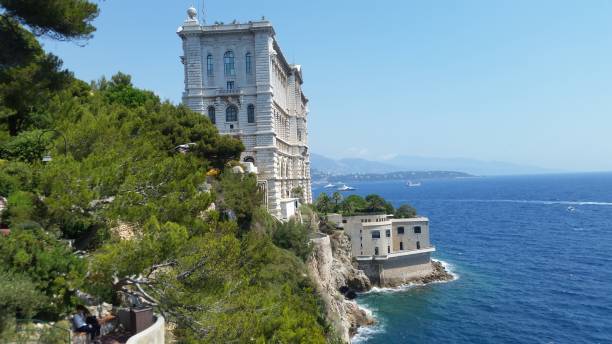istock Scenic view of building against sky 1325101123