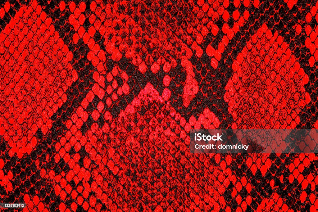 Red Python Leather Swatch Red Python Leather As Background Red Snake Skin Background Stock Photo ...