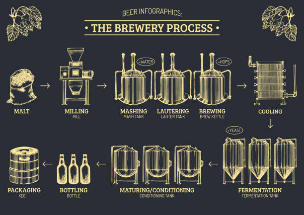 ilustrações de stock, clip art, desenhos animados e ícones de vector beer infographics with illustrations of brewery process. ale producing design. lager production hand sketched scheme. - bar bar counter pub beer