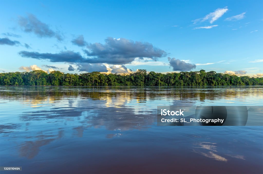 Amazon River Sunset Reflection, Peru Amazon river landscape with cloud reflection. The tributaries of the river flow through the countries of French Guyana, Venezuela, Colombia, Ecuador, Peru, Bolivia, Suriname, Brazil. River Stock Photo