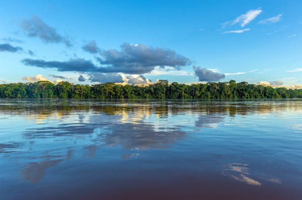 Amazon River Sunset Reflection, Peru Amazon river landscape with cloud reflection. The tributaries of the river flow through the countries of French Guyana, Venezuela, Colombia, Ecuador, Peru, Bolivia, Suriname, Brazil. pantanal wetlands stock pictures, royalty-free photos & images