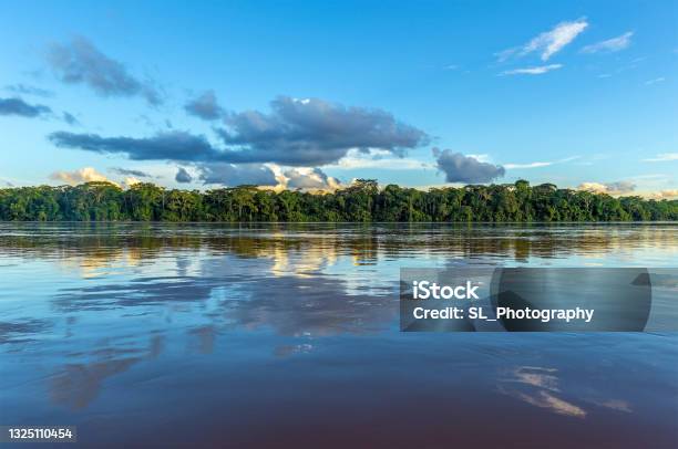 Amazon River Sunset Reflection Peru Stock Photo - Download Image Now - River, Pantanal Wetlands, Amazon Region