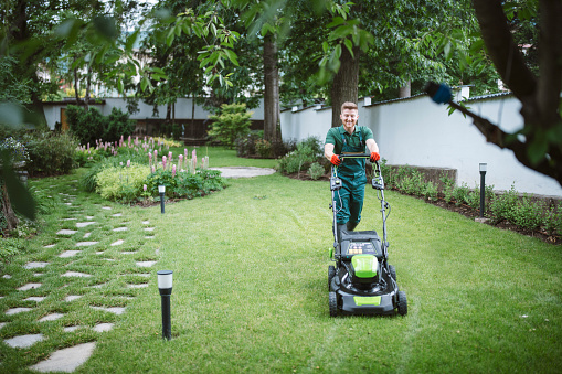 Full length gardener mows the lawn with a mower in beautiful garden.