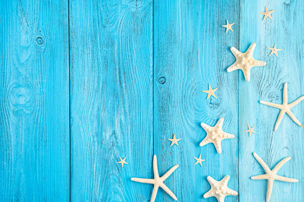 istock Starfish of different shapes on a blue background. Summer background 1325113033