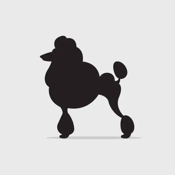Vector illustration of French Poodle Dog Silhouette