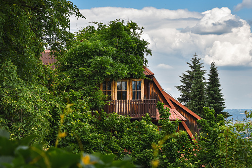 Wooden building hidden among the trees, Beskidy Mountains in the background