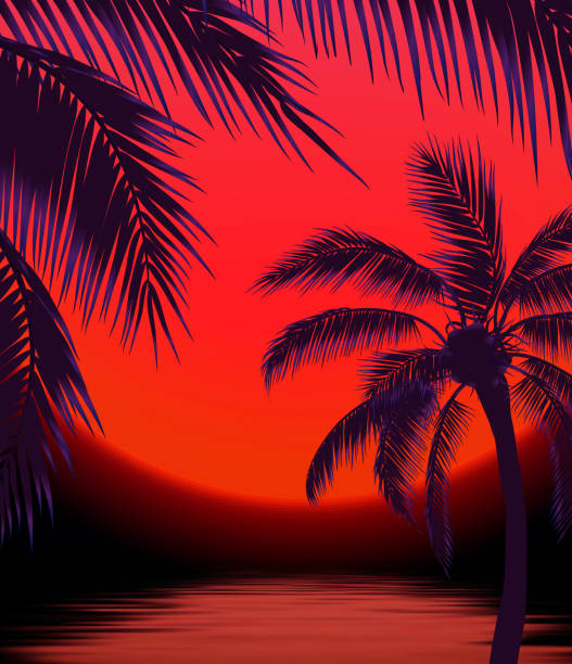 illustrazioni stock, clip art, cartoni animati e icone di tendenza di tramonto con palme, sole e foglie di palma - north shore hawaii islands oahu island