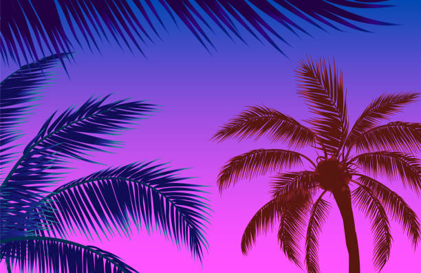 istock Sky with Palm Trees, Purple Pink Sky and Palm Leaf 1325117843