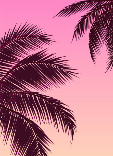 niebo z palmami, różowym niebem i liściem palmowym - sunset beach sky heat stock illustrations