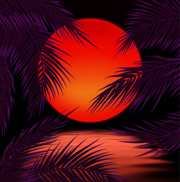 zachód słońca z palmami, słońcem i liściem palmowym - sunset beach sky heat stock illustrations